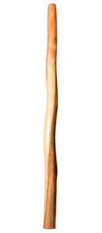 Earl Clements Didgeridoo (EC379)